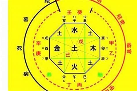 龍德八字|八字神煞 龙德 (八字里龙德星是什么意思)